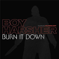 Burn It Down