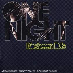 One night with kosheen djs