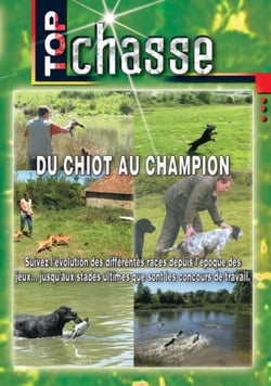 Du chiot au champion