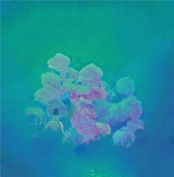 Iii