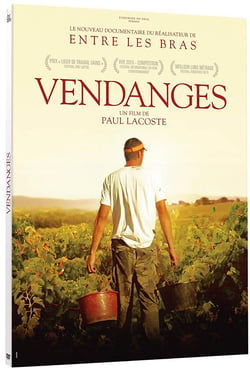 Vendanges