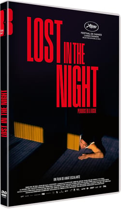 Lost in the Night