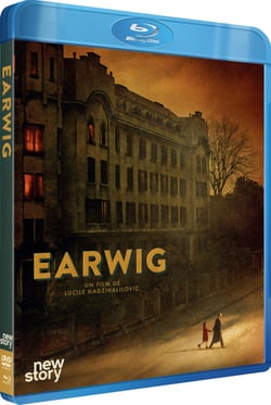 Earwig