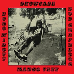 Mango Tree Showcase