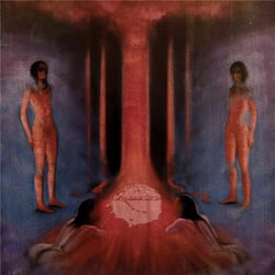 The Chaos In Veins - édition;de luxe