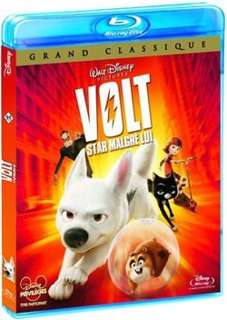Volt, star malgré lui
