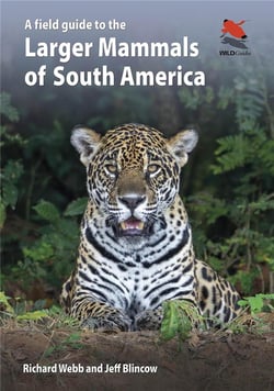 Field guide to the larger mammals of South America