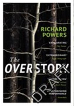 The overstory