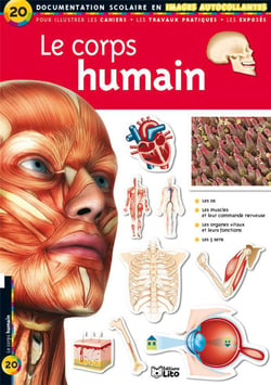 Le corps humain