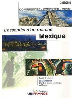 Mexique - l'essentiel d'un marche (2e edition) 2007/2008