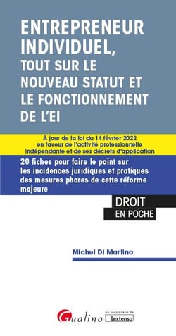Entrepreneur individuel, tout sur le nouveau statut et le fonctionnement de l'EI (1re édition)