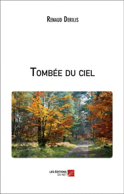 Tombée du ciel