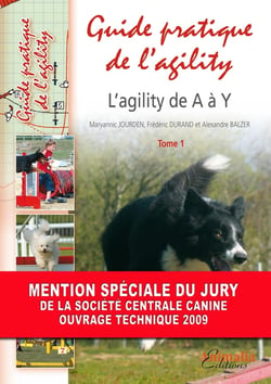Guide pratique de ltagility Tome 1