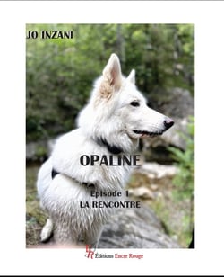 Opaline Tome 1 : La rencontre
