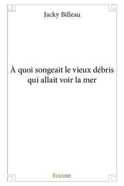 À quoi songeait le vieux débris qui allait voir la mer