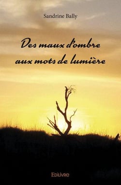 Des maux d'ombre aux mots de lumière