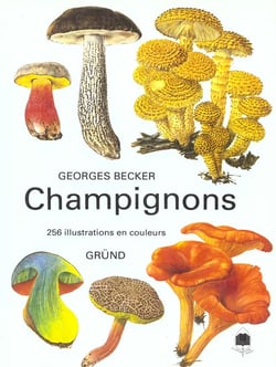 CHAMPIGNONS.