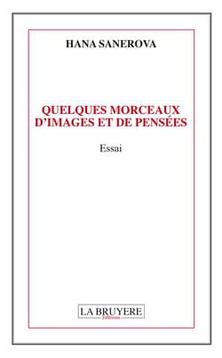 Quelques morceaux d'images et de pensées