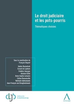 Le droit judiciaire et les pots-pourris - thématiques choisies