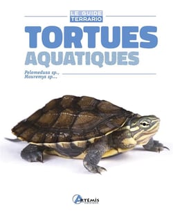 Tortues aquatiques - pelomedusa sp., mauremys sp...