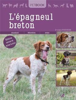 L'épagneul breton