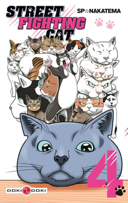 Street fighting cat Tome 4