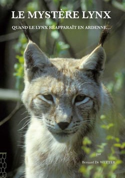 Le mystère lynx - quand le lynx réapparaît en ardennes...