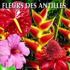Fleurs des antilles