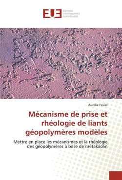 Mecanisme de prise et rheologie de liants geopolymeres modeles