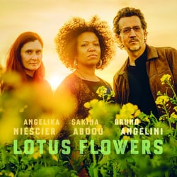 Lotus Flowers