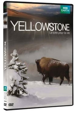 Yellowstone, la lutte pour la vie
