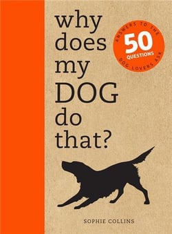 Why does my dog do that ?