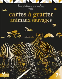 Cartes à gratter animaux sauvages - pochette avec accessoires