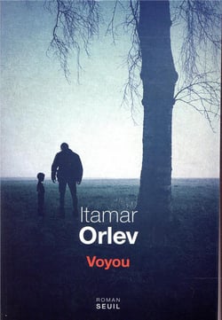 Voyou