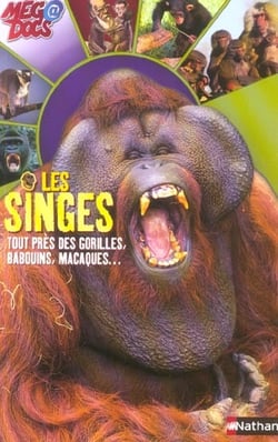 Les singes - tout pres des gorilles, babouins, macaques...