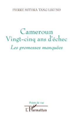 Cameroun vingt-cinq ans d'échec - les promesses manquées