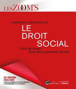 Le droit social : droit du travail - droit de la protection sociale (24e édition)