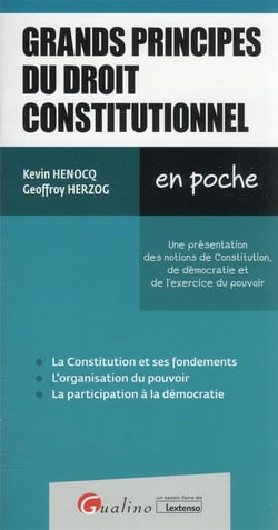 Grands principes du droit constitutionnel : une présentation des notions de Constitution, de démocratie et de l'exercice du pouvoir (2e édition)