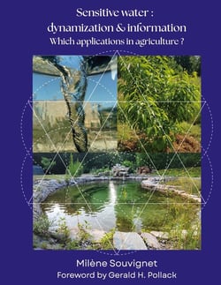 Sensitive water : Dynamization & Information : Which applications in agriculture ?