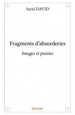 Fragments d'absurderies