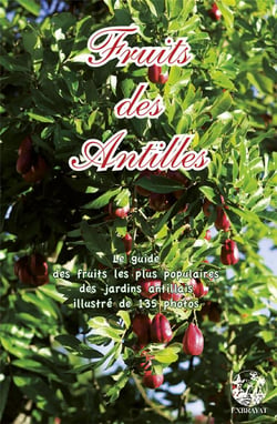 FRUITS DES ANTILLE