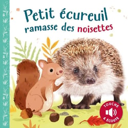 PETIT ÉCUREUIL RAMASSE DES NOISETTES