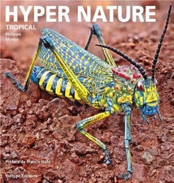 Hyper nature - tropical