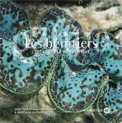 Les bénitiers : l'autre perle du pacifique