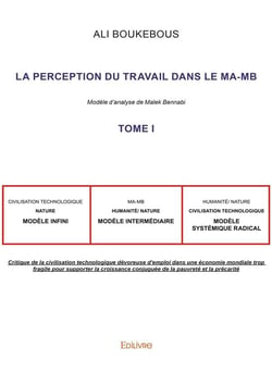 La Perception du travail dans le MA-MB t.1