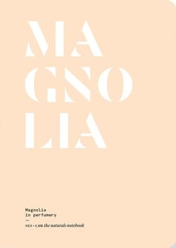 Magnolia in perfumery