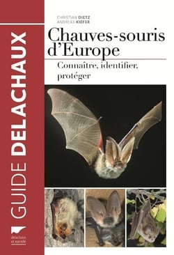 Chauves-souris d'Europe : connaître, identifier, protéger