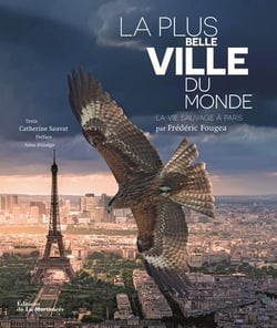 La plus belle ville du monde - la vie sauvage à Paris