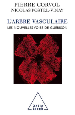 L'Arbre vasculaire : Les nouvelles voies de guérison