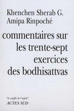 Commentaires sur les trente-sept exercices des bodhisattvas